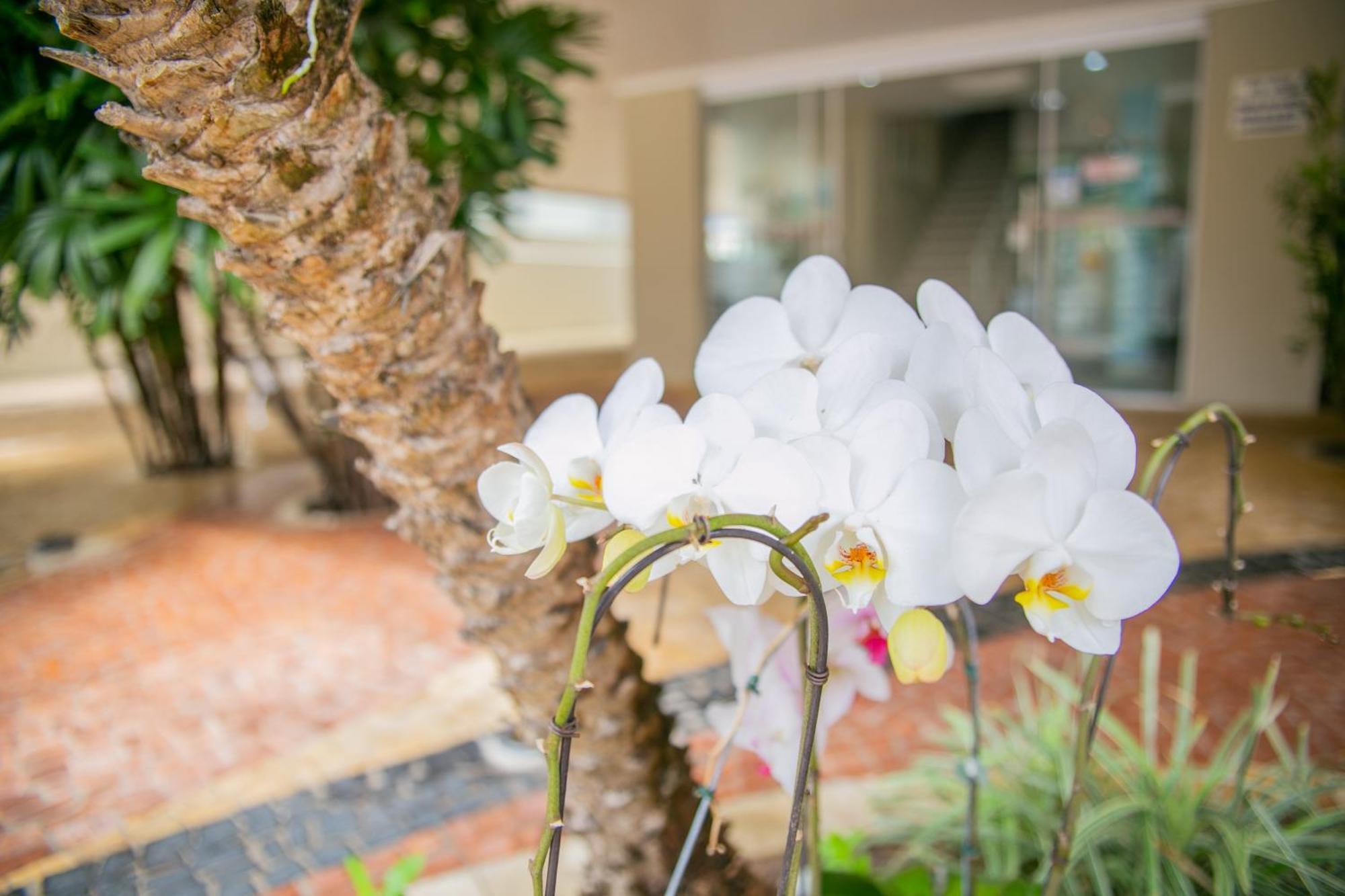 Paramar Praia Grande อูบาตูบา ภายนอก รูปภาพ